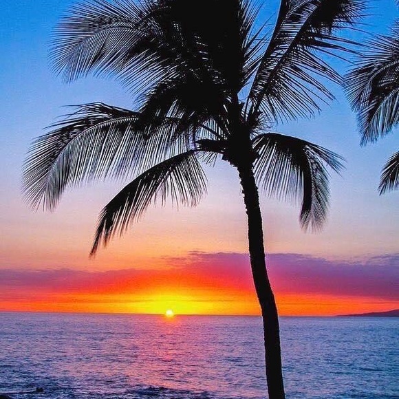 Meet your Posher, Keikilani - Picture 4 of 4